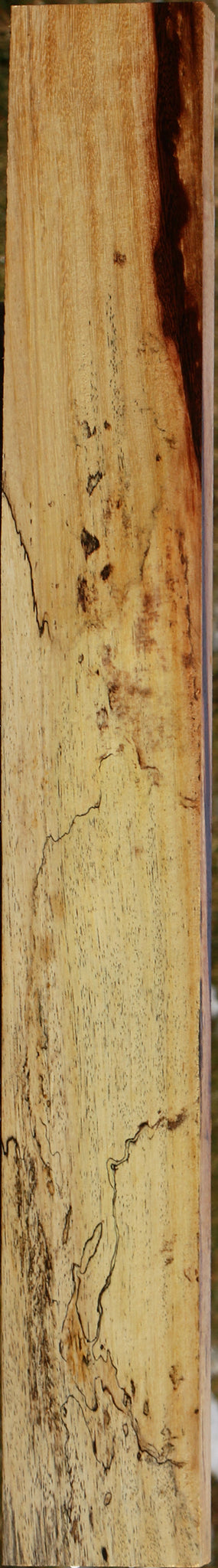 Extra Fancy Spalted Tamarind Lumber