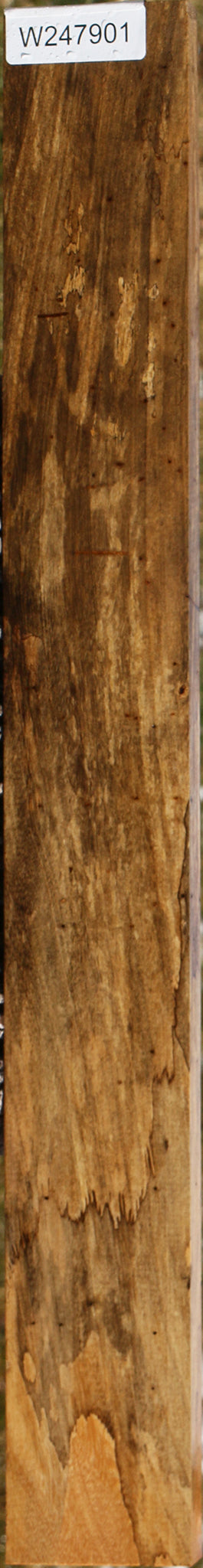 Figured Spalted Tamarind Lumber