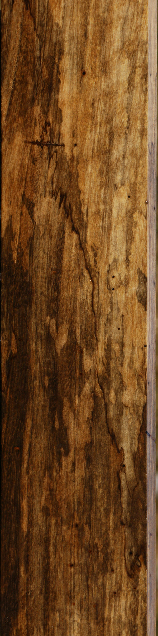 Figured Spalted Tamarind Lumber
