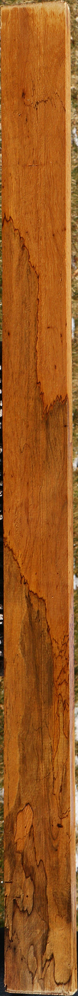 Figured Spalted Tamarind Lumber