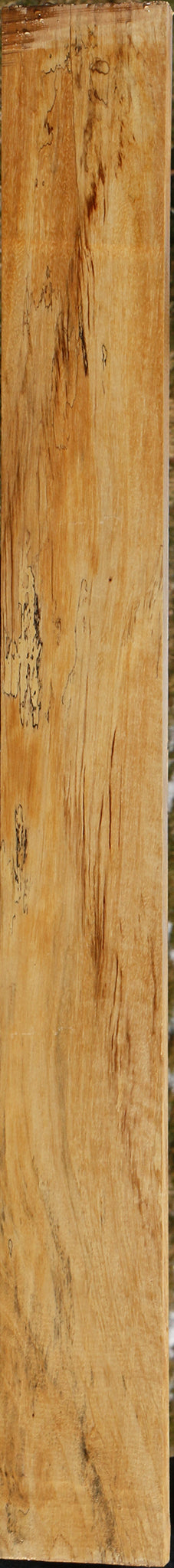 Spalted Tamarind Lumber