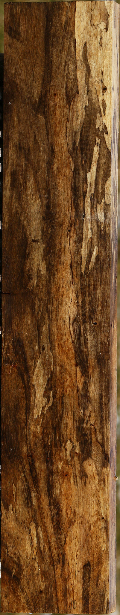Extra Fancy Spalted Tamarind Lumber