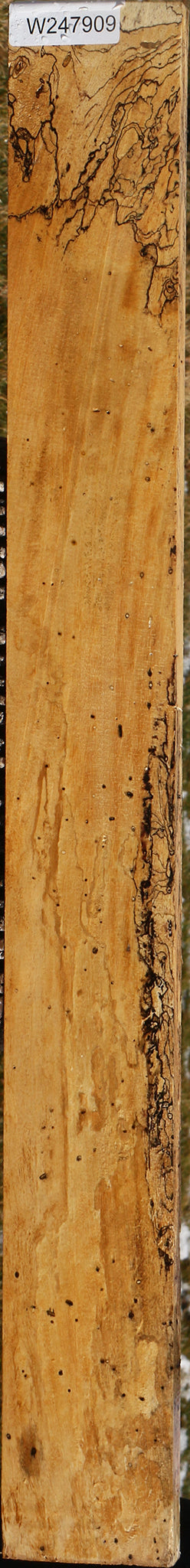 Extra Fancy Spalted Tamarind Lumber
