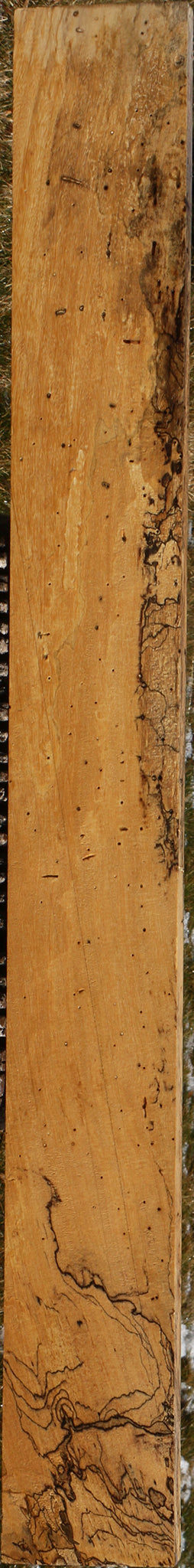 Extra Fancy Spalted Tamarind Lumber