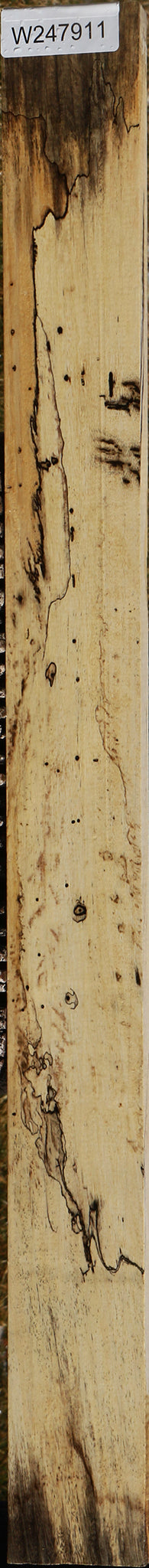 Spalted Tamarind Lumber