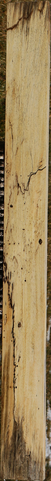 Spalted Tamarind Lumber
