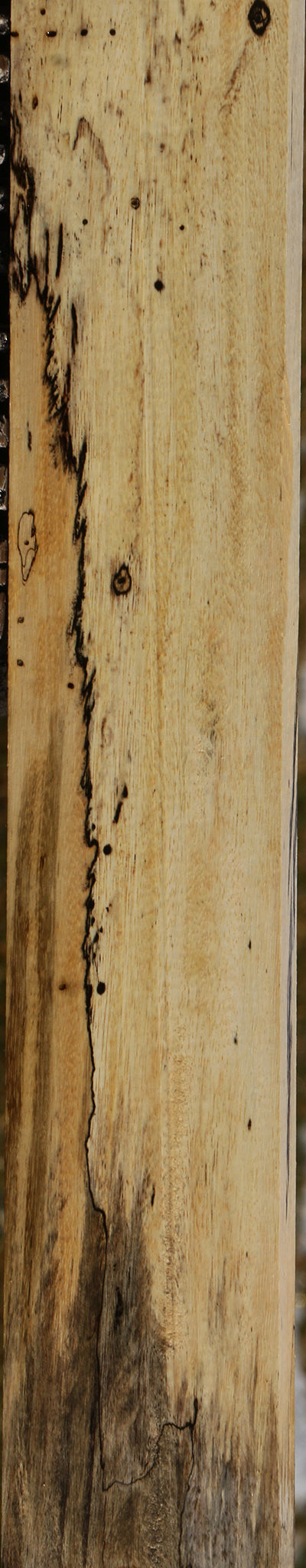 Spalted Tamarind Lumber
