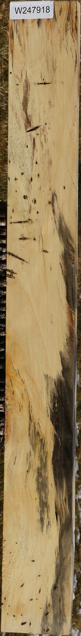Spalted Tamarind Lumber