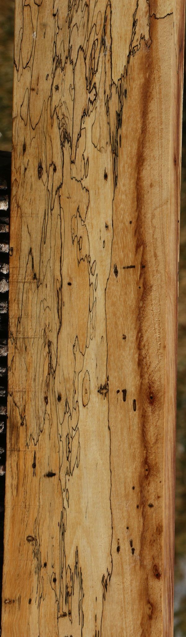 Extra Fancy Spalted Tamarind Lumber