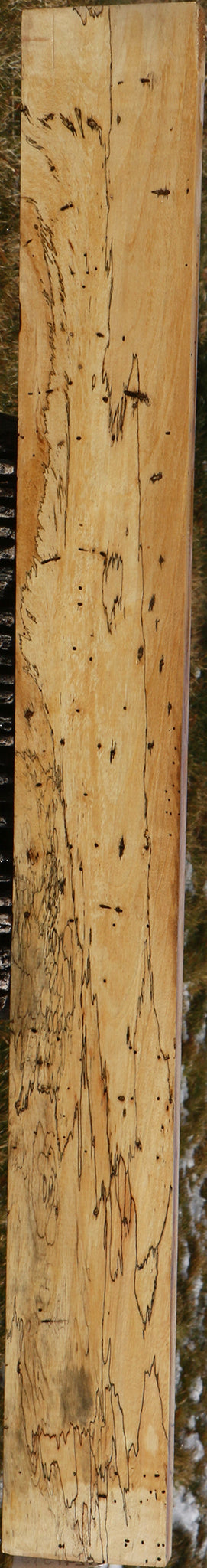 Extra Fancy Spalted Tamarind Lumber