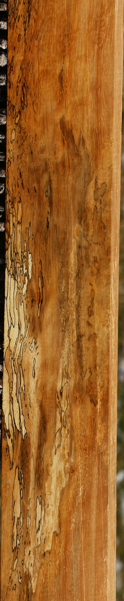 Spalted Tamarind Lumber