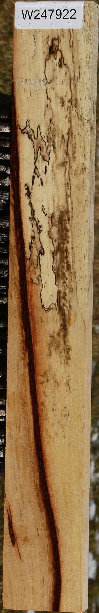 Extra Fancy Spalted Tamarind Lumber
