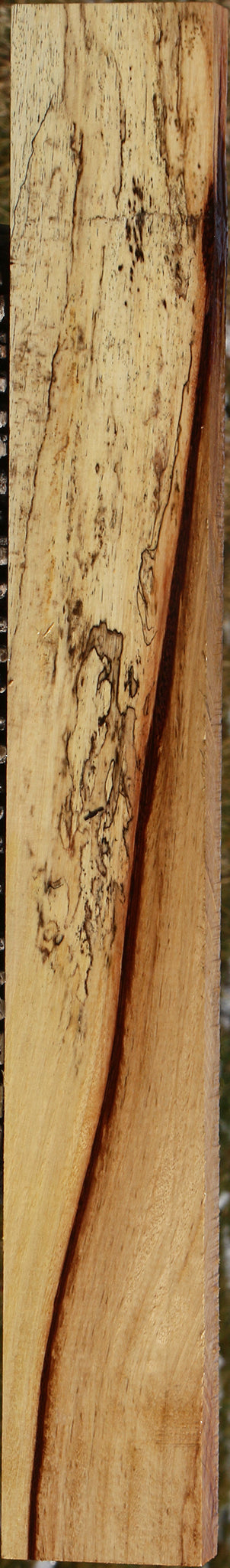 Extra Fancy Spalted Tamarind Lumber