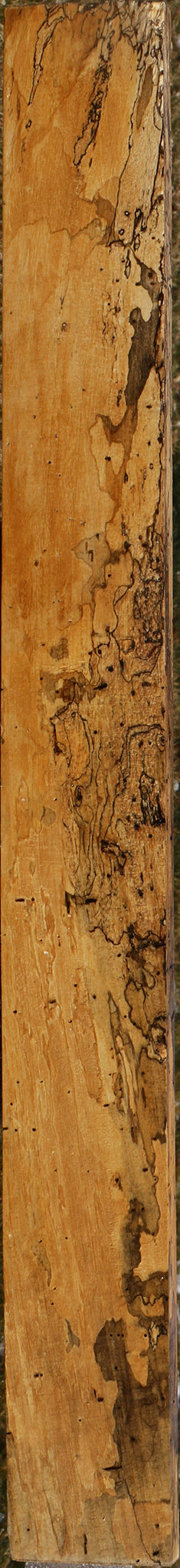 Extra Fancy Spalted Tamarind Lumber