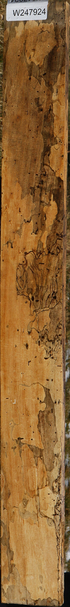 Extra Fancy Spalted Tamarind Lumber