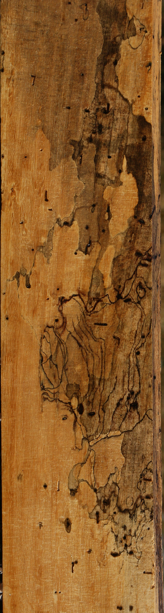 Extra Fancy Spalted Tamarind Lumber