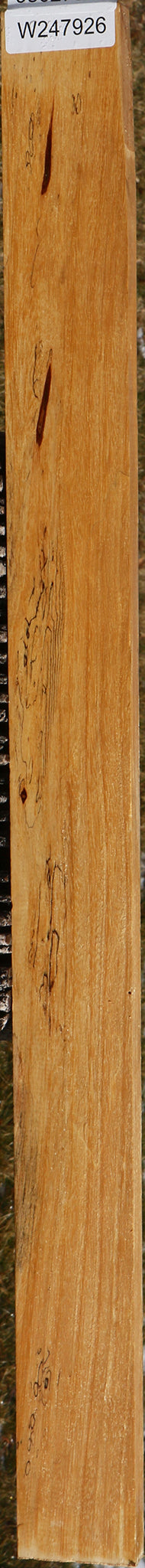 Spalted Tamarind Lumber