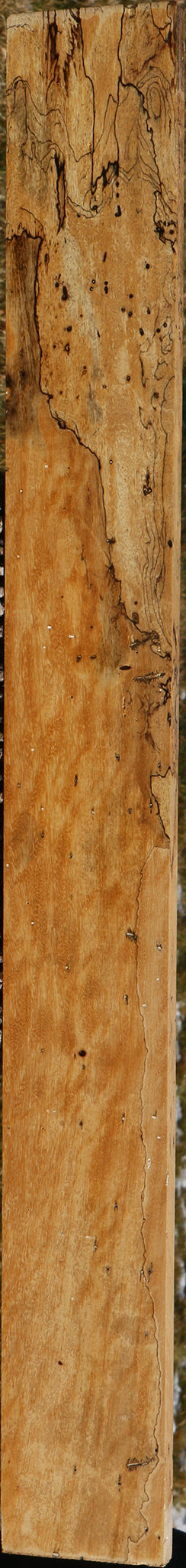 Extra Fancy Spalted Tamarind Lumber