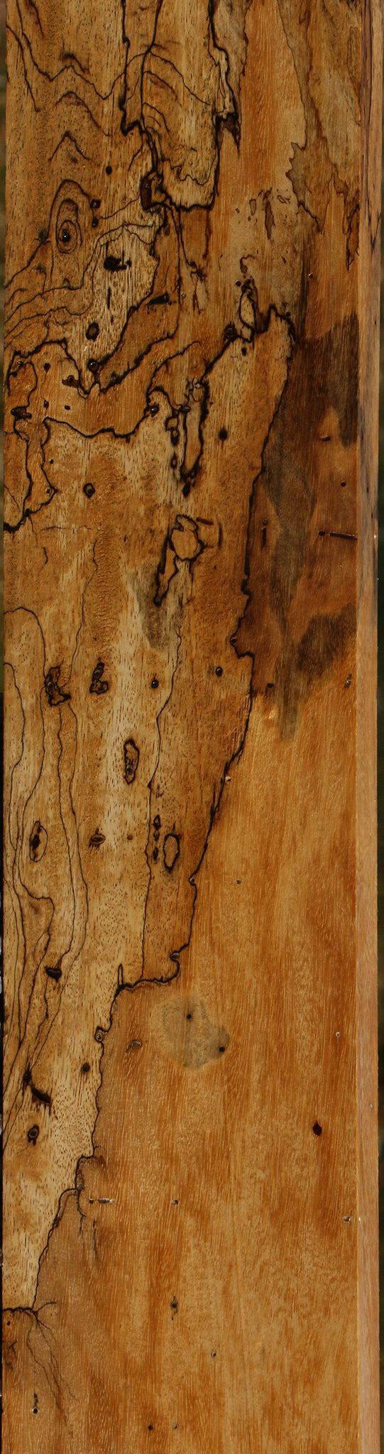 Extra Fancy Spalted Tamarind Lumber