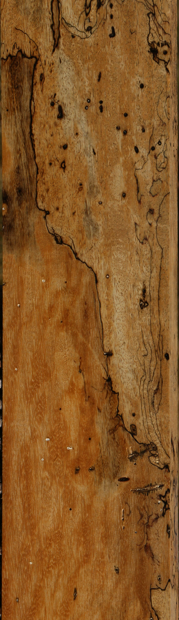 Extra Fancy Spalted Tamarind Lumber