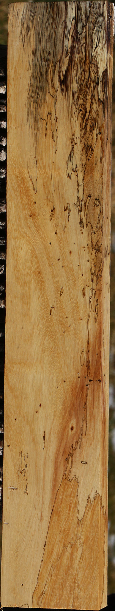 Figured Spalted Tamarind Lumber