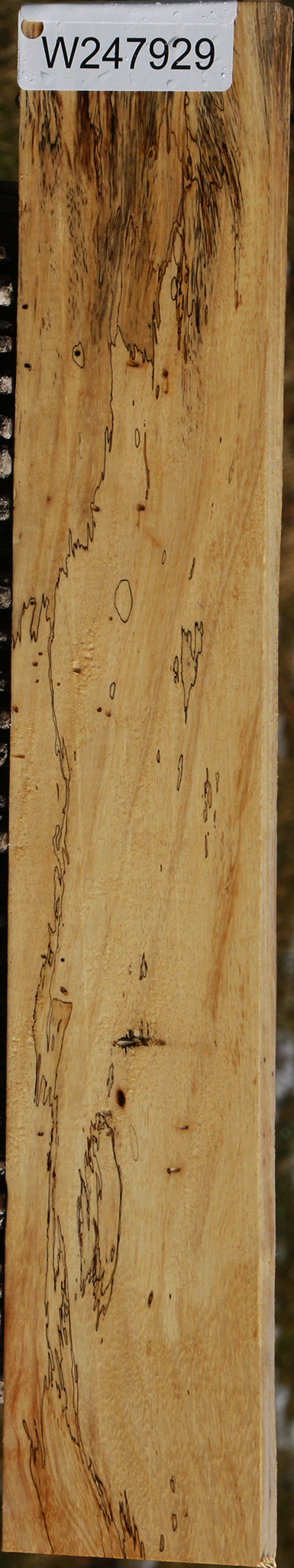 Figured Spalted Tamarind Lumber