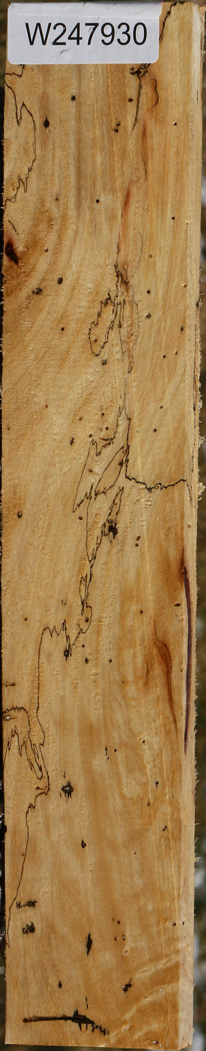 Figured Spalted Tamarind Lumber