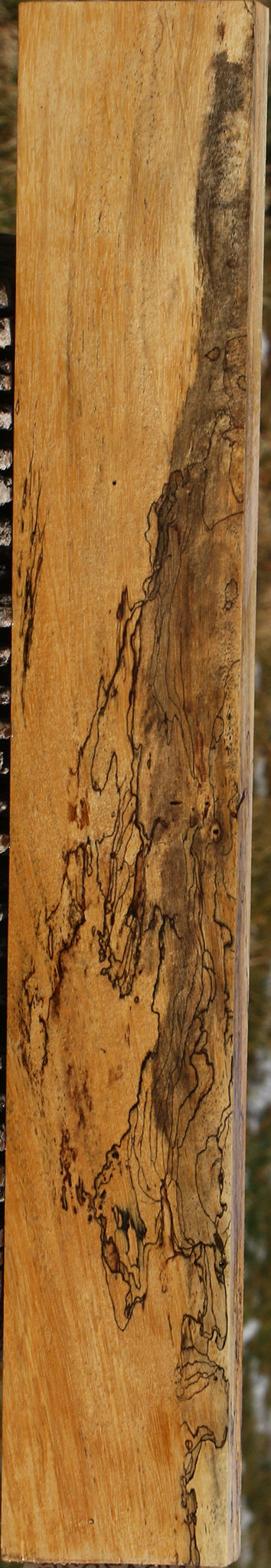 Extra Fancy Spalted Tamarind Lumber