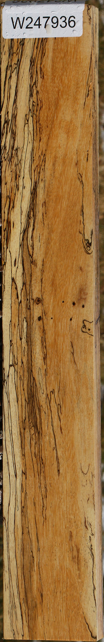 Extra Fancy Spalted Tamarind Lumber