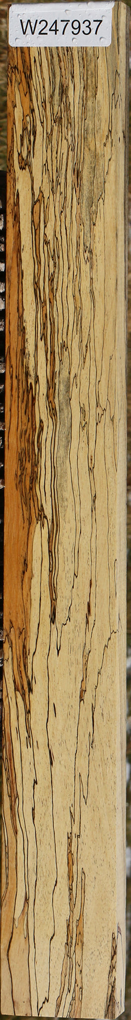 Extra Fancy Spalted Tamarind Lumber