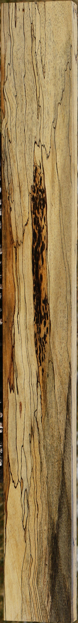 Extra Fancy Spalted Tamarind Lumber