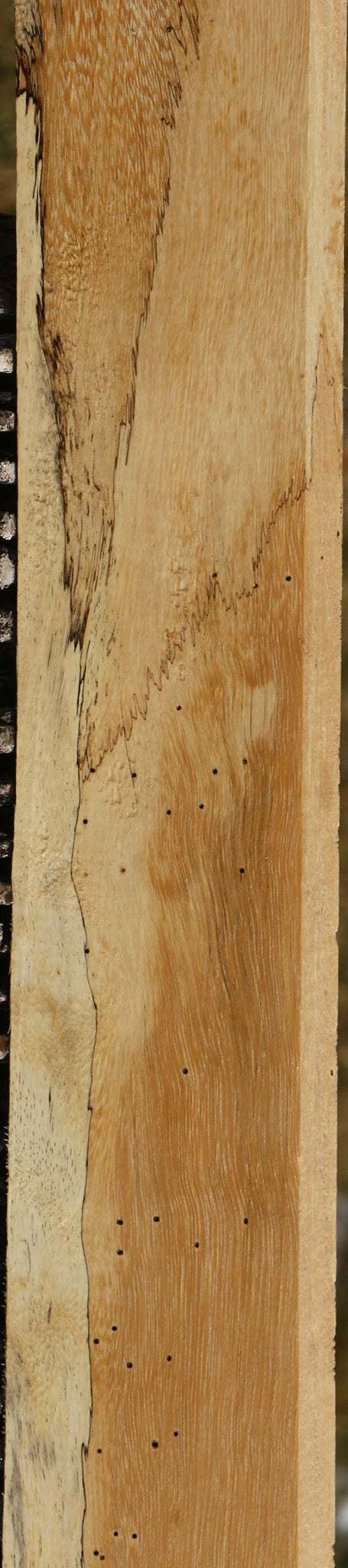 Spalted Tamarind Lumber