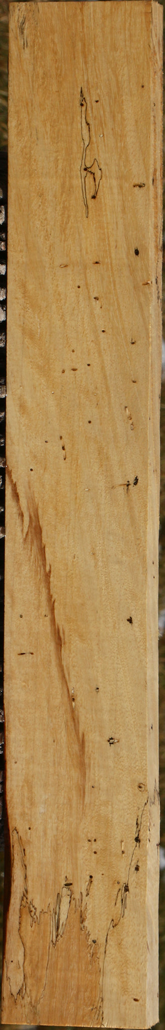 Spalted Tamarind Lumber