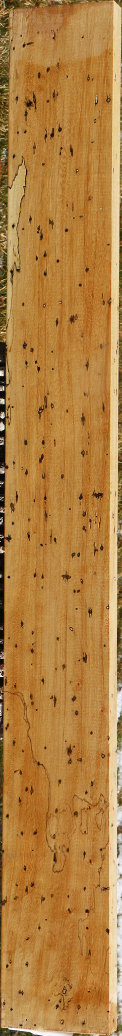 Figured Spalted Tamarind Lumber