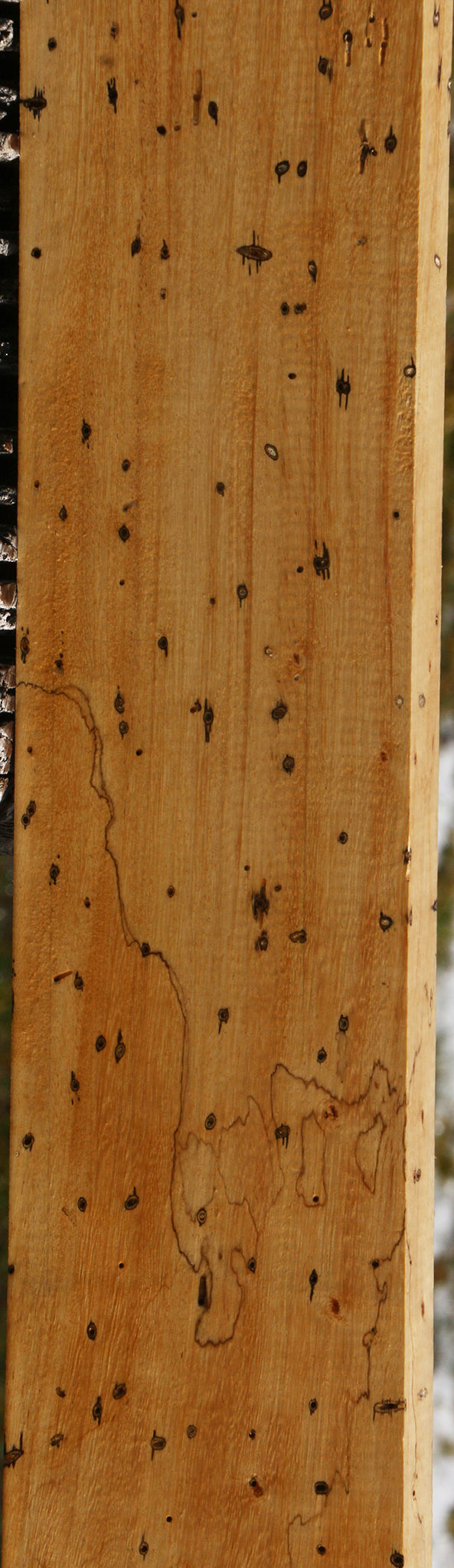 Figured Spalted Tamarind Lumber