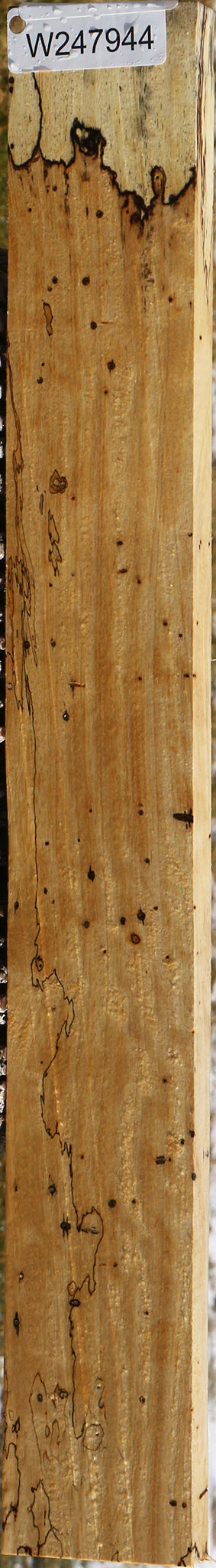 Spalted Tamarind Lumber