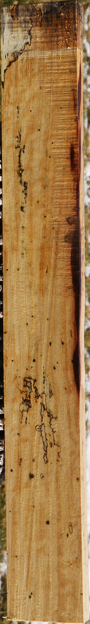 Spalted Tamarind Lumber