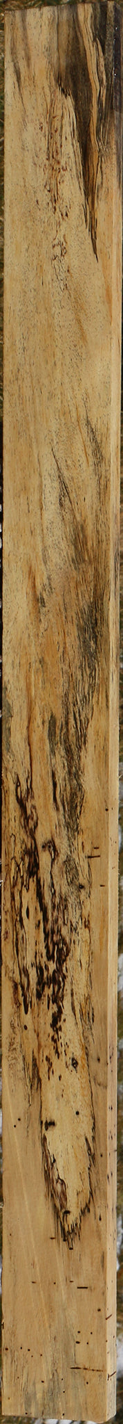 Figured Spalted Tamarind Lumber