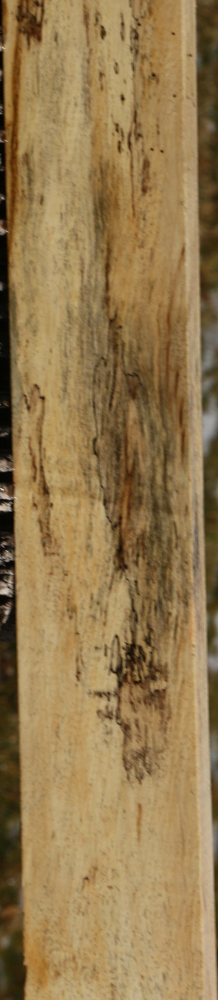 Figured Spalted Tamarind Lumber