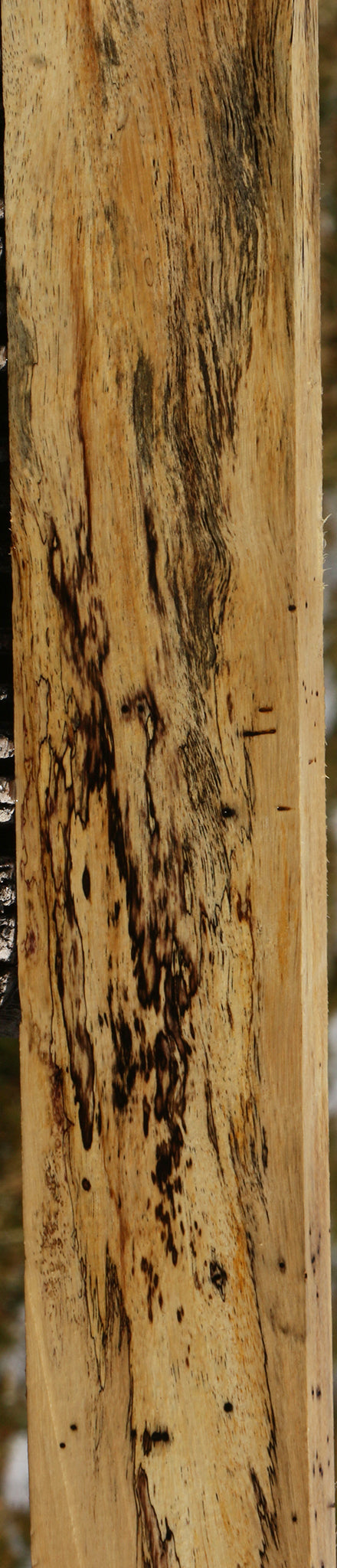 Figured Spalted Tamarind Lumber