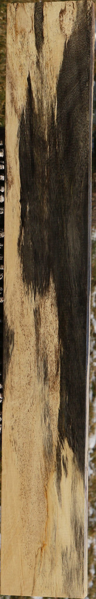 Figured Spalted Tamarind Lumber