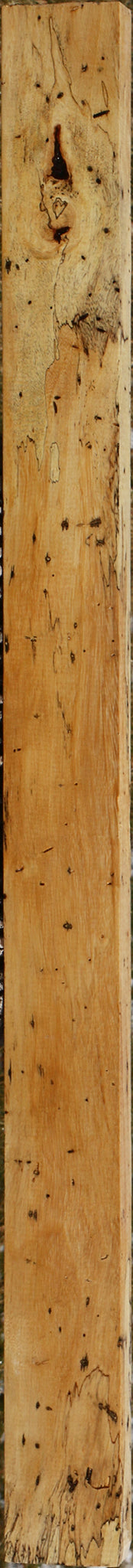 Figured Spalted Tamarind Lumber