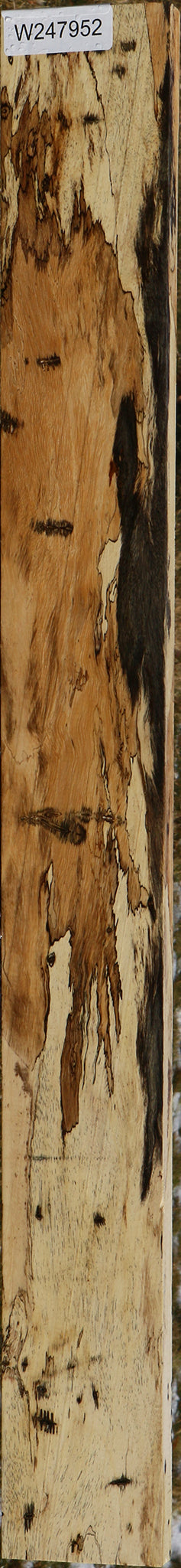 Extra Fancy Spalted Tamarind Lumber