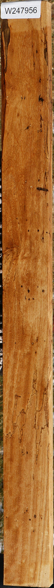 Spalted Tamarind Lumber