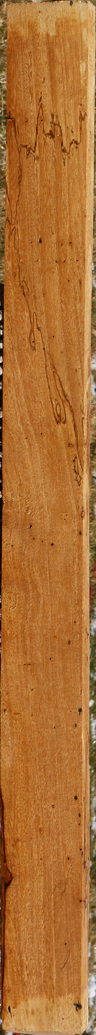 Spalted Tamarind Lumber
