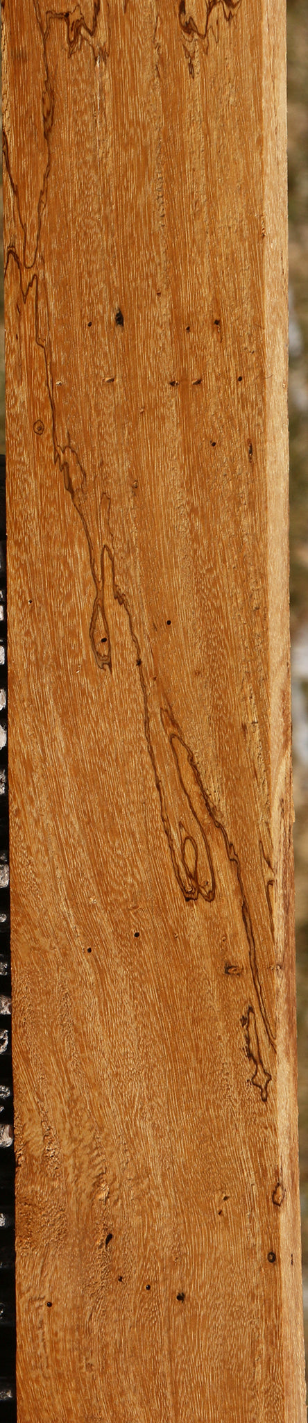 Spalted Tamarind Lumber