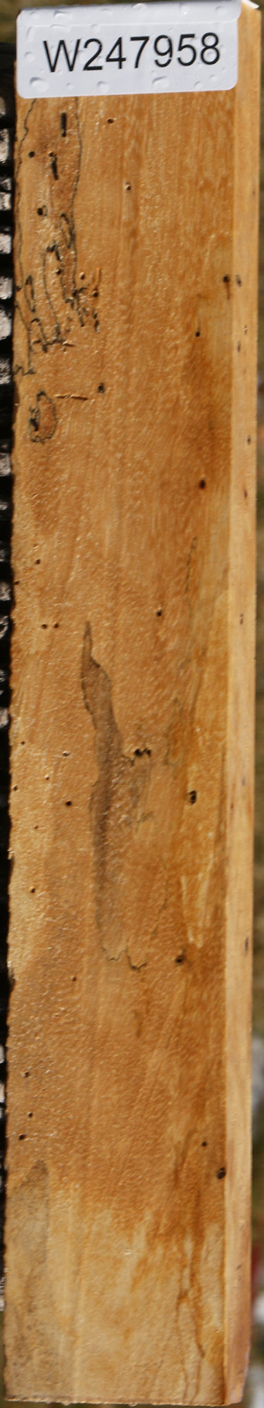 Spalted Tamarind Lumber