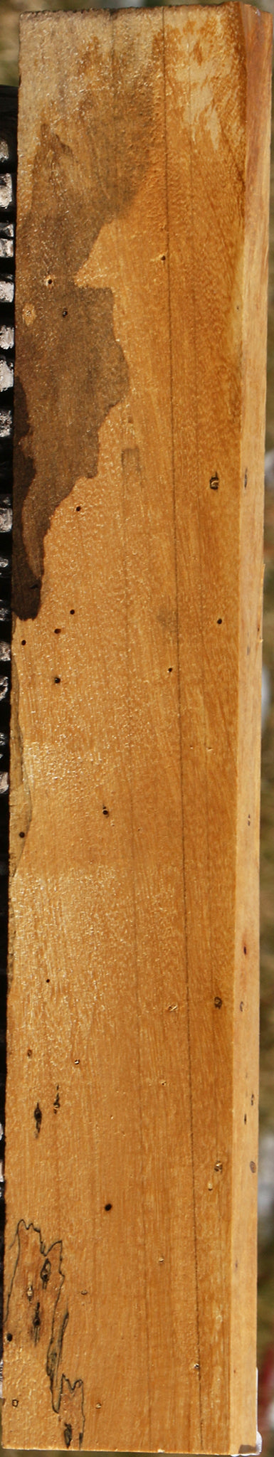 Spalted Tamarind Lumber