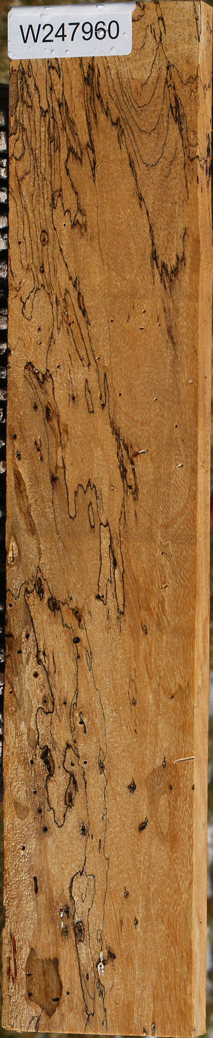 Figured Spalted Tamarind Lumber