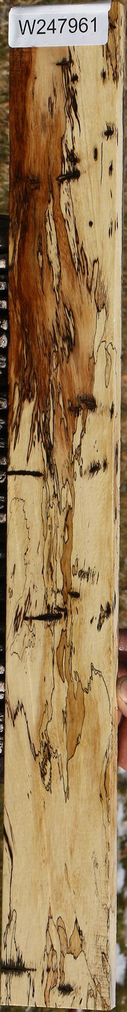 Figured Spalted Tamarind Lumber